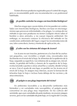 104
Existen diversos productos registrados para el control de orugas,
pero es recomendable pedir una recomendación a un profesional
habilitado.
¿Es posible controlar las orugas con insecticidas biológicos?
Muchas orugas que causan daños al ricino pueden ser contro-
ladas con insecticidas biológicos, hechos con base en microorga-
nismos que provocan enfermedades a las plagas. La ventaja de ese
método es que esos productos no tienen cualquier efecto sobre el
hombre u otros animales, y no causan impacto ambiental. Sin
embargo, es necesario conocer la eficiencia del método en las
condiciones ambientales del lugar y seguir las recomendaciones de
uso, tales como dosis, forma y momento de aplicación, etc.
¿Cuáles son los síntomas del ataque de ácaros?
Los ácaros no son insectos, pertenecen a la clase de las arañas:
son pequeños, casi invisibles a simple vista, encontrados más
fácilmente en el envés de la hoja. Se alimentan de la epidermis de la
hoja, raspando su superficie. Los síntomas de su ataque son, inicial-
mente, la pérdida del brillo y clorosis de la superficie de la hoja,
evolucionando a puntos o áreas amarillas y castaño, donde la hoja
se seca. Con el ayuda de una lupa, es posible ver los ácaros en el
envés de la hoja. En ataques muy intensos, ocurre la formación de
telarañas bajo la hoja e incluso hasta debajo de los racimos y de
otras estructuras.
¿El pulgón es una plaga importante del ricino?
En ambientes favorables a su desarrollo (ambientes más
húmedos) y en variedades más susceptibles, el pulgón puede
convertirse en una plaga muy importante. En los cultivos del
semiárido, que usan variedades de porte mediano, no ocurren ataques
severos, pero enlasvariedadesdeportebajo,en la región del Cerrado,
188
189
190
 