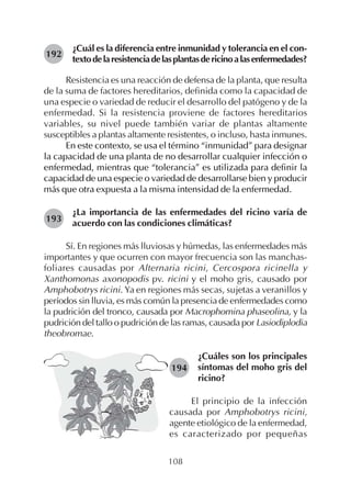 108
¿Cuál es la diferencia entre inmunidad y tolerancia en el con-
textodelaresistenciadelasplantasdericinoalasenfermedades?
Resistencia es una reacción de defensa de la planta, que resulta
de la suma de factores hereditarios, definida como la capacidad de
una especie o variedad de reducir el desarrollo del patógeno y de la
enfermedad. Si la resistencia proviene de factores hereditarios
variables, su nivel puede también variar de plantas altamente
susceptibles a plantas altamente resistentes, o incluso, hasta inmunes.
En este contexto, se usa el término “inmunidad” para designar
la capacidad de una planta de no desarrollar cualquier infección o
enfermedad, mientras que “tolerancia” es utilizada para definir la
capacidad de una especie o variedad de desarrollarse bien y producir
más que otra expuesta a la misma intensidad de la enfermedad.
¿La importancia de las enfermedades del ricino varía de
acuerdo con las condiciones climáticas?
Sí. En regiones más lluviosas y húmedas, las enfermedades más
importantes y que ocurren con mayor frecuencia son las manchas-
foliares causadas por Alternaria ricini, Cercospora ricinella y
Xanthomonas axonopodis pv. ricini y el moho gris, causado por
Amphobotrys ricini. Ya en regiones más secas, sujetas a veranillos y
períodos sin lluvia, es más común la presencia de enfermedades como
la pudrición del tronco, causada por Macrophomina phaseolina, y la
pudrición del tallo o pudrición de las ramas, causada por Lasiodiplodia
theobromae.
192
193
194
¿Cuáles son los principales
síntomas del moho gris del
ricino?
El principio de la infección
causada por Amphobotrys ricini,
agente etiológico de la enfermedad,
es caracterizado por pequeñas
 