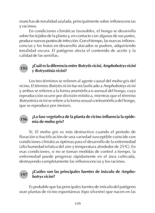 109
195
196
197
manchas de tonalidad azulada, principalmente sobre inflorescencias
y racimos.
En condiciones climáticas favorables, el hongo se desarrolla
sobre los tejidos de la planta y, en contacto con algunas de sus partes,
producenuevospuntosdeinfección. Coneltiempo,las nuevas inflores-
cencias y los frutos en desarrollo atacados se pudren, adquiriendo
tonalidad oscura. El patógeno afecta el contenido de aceite y la
calidad de las semillas.
¿Cuál es la diferencia entre Botrytis ricini, Amphobotrys ricini
y Botryotinia ricini?
Los tres términos se refieren al agente causal del moho gris del
ricino. El término Botrytis ricini fue reclasificado a Amphobotrys ricini
y ambos se refieren a la forma anamórfica o asexual del hongo, cuya
reproducción ocurre por división mitótica, mientras que el término
Botryotinia ricini se refiere a la forma sexual o teleomórfica del hongo,
que se reproduce por meiosis.
¿La fase vegetativa de la planta de ricino influencia la epide-
mia de moho gris?
Sí. El moho gris es más destructivo cuando el período de
floración o fructificación de una variedad susceptible coincide con
condiciones climáticas óptimas para el desarrollo de la enfermedad
(alta humedad relativa del aire y temperatura alrededor de 25o
C). En
esas condiciones, si no se toman medidas de control a tiempo, la
enfermedad puede progresar rápidamente en el área cultivada,
destruyendo completamente las inflorescencias y los racimos.
¿Cuáles son las principales fuentes de inóculo de Ampho-
botrys ricini?
Es probable que las principales fuentes de inóculo del patógeno
sean plantas de ricino espontáneas (tipo silvestre) que nacen en las
 