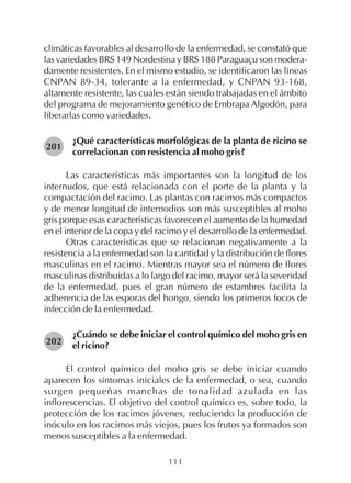111
climáticas favorables al desarrollo de la enfermedad, se constató que
las variedades BRS 149 Nordestina y BRS 188 Paraguaçu son modera-
damente resistentes. En el mismo estudio, se identificaron las lineas
CNPAN 89-34, tolerante a la enfermedad, y CNPAN 93-168,
altamente resistente, las cuales están siendo trabajadas en el ámbito
del programa de mejoramiento genético de Embrapa Algodón, para
liberarlas como variedades.
¿Qué características morfológicas de la planta de ricino se
correlacionan con resistencia al moho gris?
Las características más importantes son la longitud de los
internudos, que está relacionada con el porte de la planta y la
compactación del racimo. Las plantas con racimos más compactos
y de menor longitud de internodios son más susceptibles al moho
gris porque esas características favorecen el aumento de la humedad
en el interior de la copa y del racimo y el desarrollo de la enfermedad.
Otras características que se relacionan negativamente a la
resistencia a la enfermedad son la cantidad y la distribución de flores
masculinas en el racimo. Mientras mayor sea el número de flores
masculinas distribuidas a lo largo del racimo, mayor será la severidad
de la enfermedad, pues el gran número de estambres facilita la
adherencia de las esporas del hongo, siendo los primeros focos de
infección de la enfermedad.
¿Cuándo se debe iniciar el control químico del moho gris en
el ricino?
El control químico del moho gris se debe iniciar cuando
aparecen los síntomas iniciales de la enfermedad, o sea, cuando
surgen pequeñas manchas de tonalidad azulada en las
inflorescencias. El objetivo del control químico es, sobre todo, la
protección de los racimos jóvenes, reduciendo la producción de
inóculo en los racimos más viejos, pues los frutos ya formados son
menos susceptibles a la enfermedad.
201
202
 