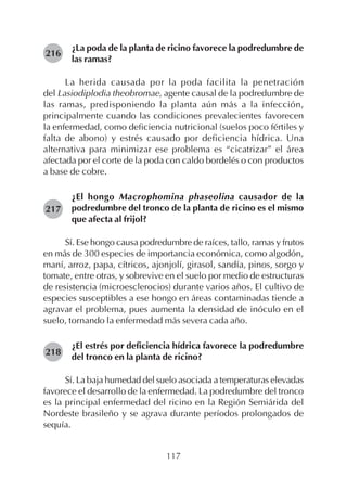 117
¿La poda de la planta de ricino favorece la podredumbre de
las ramas?
La herida causada por la poda facilita la penetración
del Lasiodiplodia theobromae, agente causal de la podredumbre de
las ramas, predisponiendo la planta aún más a la infección,
principalmente cuando las condiciones prevalecientes favorecen
la enfermedad, como deficiencia nutricional (suelos poco fértiles y
falta de abono) y estrés causado por deficiencia hídrica. Una
alternativa para minimizar ese problema es “cicatrizar” el área
afectada por el corte de la poda con caldo bordelés o con productos
a base de cobre.
¿El hongo Macrophomina phaseolina causador de la
podredumbre del tronco de la planta de ricino es el mismo
que afecta al frijol?
Sí. Ese hongo causa podredumbre de raíces, tallo, ramas y frutos
en más de 300 especies de importancia económica, como algodón,
maní, arroz, papa, cítricos, ajonjolí, girasol, sandía, pinos, sorgo y
tomate, entre otras, y sobrevive en el suelo por medio de estructuras
de resistencia (microesclerocios) durante varios años. El cultivo de
especies susceptibles a ese hongo en áreas contaminadas tiende a
agravar el problema, pues aumenta la densidad de inóculo en el
suelo, tornando la enfermedad más severa cada año.
¿El estrés por deficiencia hídrica favorece la podredumbre
del tronco en la planta de ricino?
Sí. La baja humedad del suelo asociada a temperaturas elevadas
favorece el desarrollo de la enfermedad. La podredumbre del tronco
es la principal enfermedad del ricino en la Región Semiárida del
Nordeste brasileño y se agrava durante períodos prolongados de
sequía.
218
217
216
 