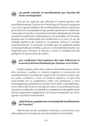 119
¿Se puede controlar el marchitamiento por Fusariun del
ricino con fungicidas?
Uno de los aspectos que dificulta el control químico del
marchitamiento por Fusariun es el hecho que el Fusariun oxysporun
f. sp. ricini, agente etiológico de la enfermedad, produce estructuras
de resistencia (clamidosporos) que pueden permanecer viables por
varios años en el suelo y convertirse en fuentes importantes de inóculo
cuando las condiciones ambientales les son favorables. Por lo tanto,
después que la enfermedad está establecida en el área, el uso de
métodos químicos de control es, en general, ineficaz e inviable
económicamente. Es necesario recordar que ese patógeno puede
ser transportado por semillas y, por eso, se recomienda tratarlas con
fungicidas para eliminar el inóculo y evitar la introducción del
patógeno en nuevas áreas de cultivo.
¿Las condiciones físico-químicas del suelo influencian la
ocurrencia del marchitamiento por Fusariun en el ricino?
Existen reportes sobre otros cultivos informando que en suelos
más arenosos y pobres en materia orgánica la ocurrencia de
marchitamientos causados por especies de Fusariun es mayor que
en suelos arcillosos y ricos en materia orgánica, lo que está
relacionado con la competencia entre esos patógenos y otros
microorganismos presentes en el suelo. Por lo tanto, es probable que,
en el cultivo del ricino en ese tipo de suelo, el marchitamiento por
Fusariun sea reducido, en virtud de la competencia entre poblaciones
de microorganismos antagónicos y el Fusariun oxysporun f. sp. ricini,
agente causal de la enfermedad.
¿Qué técnicassepuedenusarenelmanejodel marchitamiento
por Fusariun?
Además del uso de variedades resistentes, como técnica más
adecuada para el manejo de esa enfermedad se recomienda:
222
223
224
 