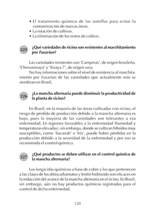 120
• El tratamiento químico de las semillas para evitar la
contaminación de nuevas áreas.
• La rotación de cultivos.
• La eliminación de los restos de cultivo.
¿Qué variedades de ricino son resistentes al marchitamiento
por Fusariun?
Las variedades resistentes son ‘Campinas’, de origen brasileña,
‘Chervonnaya’ y ‘Sizaya 7’, de origen rusa.
No hay informaciones sobre el nivel de resistencia al marchita-
miento por Fusariun de las variedades que actualmente más se
siembran en Brasil.
¿La mancha alternaria puede disminuir la productividad de
la planta de ricino?
En Brasil, en la mayoría de las áreas cultivadas con ricino, el
riesgo de pérdida de producción debido a la mancha alternaria es
bajo, pues la mayoría de las variedades son tolerantes a esa
enfermedad. En regiones favorables a la enfermedad (humedad y
temperaturas elevadas), sin embargo, donde se cultivan híbridos muy
susceptibles, como ‘Savanah’ e ‘Iris’, puede haber pérdidas en la
producción debido a la severidad de la enfermedad y por eso se
recomienda el control químico.
¿Qué productos se deben utilizar en el control químico de
la mancha alternaria?
Los fungicidas químicos a base de cobre y los que pertenecen
a las clases de los ditiocarbamatos y fentin hidróxido son eficaces en
la reducción del avance de la mancha alternaria en el ricino. En Brasil,
sin embargo, aún no hay productos químicos registrados para el
control de dicha enfermedad.
225
226
227
 