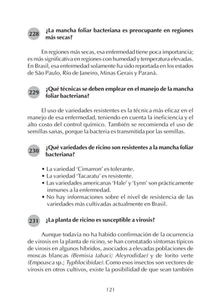 121
¿La mancha foliar bacteriana es preocupante en regiones
más secas?
En regiones más secas, esa enfermedad tiene poca importancia;
es más significativa en regiones con humedad y temperatura elevadas.
En Brasil, esa enfermedad solamente ha sido reportada en los estados
de São Paulo, Río de Janeiro, Minas Gerais y Paraná.
¿Qué técnicas se deben emplear en el manejo de la mancha
foliar bacteriana?
El uso de variedades resistentes es la técnica más eficaz en el
manejo de esa enfermedad, teniendo en cuenta la ineficiencia y el
alto costo del control químico. También se recomienda el uso de
semillas sanas, porque la bacteria es transmitida por las semillas.
¿Qué variedades de ricino son resistentes a la mancha foliar
bacteriana?
• La variedad ‘Cimarron’ es tolerante.
• La variedad ‘Tacaratu’ es resistente.
• Las variedades americanas ‘Hale’ y ‘Lynn’ son prácticamente
inmunes a la enfermedad.
• No hay informaciones sobre el nivel de resistencia de las
variedades más cultivadas actualmente en Brasil.
¿La planta de ricino es susceptible a virosis?
Aunque todavía no ha habido confirmación de la ocurrencia
de virosis en la planta de ricino, se han constatado síntomas típicos
de virosis en algunos híbridos, asociados a elevadas poblaciones de
moscas blancas (Bemisia tabaci; Aleyrodidae) y de lorito verte
(Empoasca sp.; Typhlocibidae). Como esos insectos son vectores de
virosis en otros cultivos, existe la posibilidad de que sean también
228
229
230
231
 