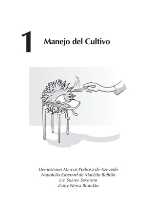 15
Demóstenes Marcos Pedrosa de Azevedo
Napoleão Esberard de Macêdo Beltrão
Liv Soares Severino
Ziany Neiva Brandão
1 Manejo del Cultivo
 