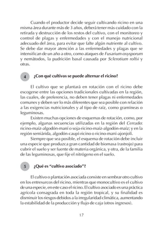 17
Cuando el productor decide seguir cultivando ricino en una
misma área durante más de 3 años, deberá tener más cuidado con la
retirada y destrucción de los restos del cultivo, con el monitoreo y
control de plagas y enfermedades y con el manejo nutricional
adecuado del área, para evitar que falte algún nutriente al cultivo.
Se debe dar mayor atención a las enfermedades y plagas que se
intensifican de un año a otro, como ataques de Fusarium oxysporum
y nemátodos, la pudrición basal causada por Sclerotium rolfsi y
otras.
¿Con qué cultivos se puede alternar el ricino?
El cultivo que se plantará en rotación con el ricino debe
escogerse entre las opciones tradicionales cultivadas en la región,
las cuales, de preferencia, no deben tener plagas ni enfermedades
comunes y deben ser lo más diferentes que sea posible con relación
a las exigencias nutricionales y al tipo de raíz, como gramíneas o
leguminosas.
Existen muchas opciones de esquemas de rotación, como, por
ejemplo, algunas secuencias utilizadas en la región del Cerrado:
ricino-maíz-algodón-maní o soja-ricino-maíz-algodón-maíz; y en la
región semiárida, algodón-caupí-ricino o ricino-maní-ajonjolí.
Siempre que sea posible, el esquema de rotación debe incluir
una especie que produzca gran cantidad de biomasa (rastrojo) para
cubrir el suelo y ser fuente de materia orgánica, y otra, de la familia
de las leguminosas, que fije el nitrógeno en el suelo.
¿Qué es “cultivo asociado”?
El cultivo o plantación asociada consiste en sembrar otro cultivo
en los entresurcos del ricino, mientras que monocultivo es el cultivo
deunaespecie,enestecasoelricino.Elcultivoasociadoesunapráctica
agrícola consagrada en toda la región tropical, y su finalidad es
disminuir los riesgos debidos a la irregularidad climática, aumentando
la estabilidad de la producción y flujo de caja (otros ingresos).
4
5
 