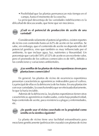 160
• Posibilidad que las plantas permanezcan más tiempo en el
campo, hasta el momento de la cosecha.
La principal desventaja de las variedades indehiscentes es la
dificultad de descascarado, que tiene que ser mecánico.
¿Cuál es el potencial de producción de aceite de una
variedad?
Considerando solamente el potencial genético, existen reportes
de ricino con contenido hasta un 62% de aceite en las semillas. Se
sabe, sin embargo, que el contenido de aceite no depende sólo del
potencial genético, sino que también es muy influenciado por el
ambiente, lo que incluye agua, luz, nutrientes y fitosanidad. Un
porcentaje que varía del 50% al 52% de aceite es un excelente valor,
pero el promedio de los cultivos comerciales es de 48%, debido a
las condiciones y variaciones ambientales.
¿Las semillas de las plantas de ricino espontáneas sirven para
plantaciones comerciales?
En general, las plantas de ricino de ocurrencia espontánea
presentan características agronómicas indeseables para el cultivo.
La principal de ellas es la dehiscencia de los frutos. En una plantación
con esas variedades, la cosecha tendría que ser efectuada diariamente,
lo que la haría inviable.
Además de la dehiscencia, las plantas espontáneas tienen otras
características agronómicas inadecuadas, como baja productividad,
bajo contenido de aceite, poca resistencia a plagas y enfermedades,
etc.
¿Se puede usar el ricino cosechado en la propiedad como
semilla en la siembra siguiente?
La planta de ricino tiene una facilidad extraordinaria para
mezclarse genéticamente (polinización cruzada) con plantas de ricino
315
316
317
 