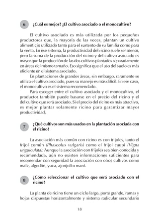 18
¿Cuál es mejor? ¿El cultivo asociado o el monocultivo?
El cultivo asociado es más utilizada por los pequeños
productores que, la mayoría de las veces, plantan un cultivo
alimenticio utilizado tanto para el sustento de su familia como para
la venta. En ese sistema, la productividad del ricino suele ser menor,
pero la suma de la producción del ricino y del cultivo asociado es
mayor que la producción de las dos cultivos plantados separadamente
en áreas del mismo tamaño. Eso significa que el uso del suelo es más
eficiente en el sistema asociado.
En plantaciones de grandes áreas, sin embargo, raramente se
utiliza el cultivo asociado, pues su manejo es más difícil. En ese caso,
el monocultivo es el sistema recomendado.
Para escoger entre el cultivo asociado y el monocultivo, el
productor también puede basarse en el precio del ricino y el
del cultivo que será asociado. Si el precio del ricino es más atractivo,
es mejor plantar solamente ricino para garantizar mayor
productividad.
¿Qué cultivos son más usados en la plantación asociada con
el ricino?
La asociación más común con ricino es con frijoles, tanto el
frijol común (Phaseolus vulgaris) como el frijol caupí (Vigna
unguiculata). Aunque la asociación con frijoles sea bien conocida y
recomendada, aún no existen informaciones suficientes para
recomendar con seguridad la asociación con otros cultivos como
maíz, algodón, yuca, ajonjolí o maní.
¿Cómo seleccionar el cultivo que será asociado con el
ricino?
La planta de ricino tiene un ciclo largo, porte grande, ramas y
hojas dispuestas horizontalmente y sistema radicular secundario
6
7
8
 