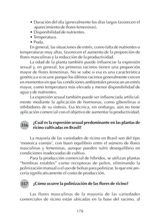 178
• Duración del día (generalmente los días largos favorecen el
aparecimiento de flores femeninas).
• Disponibilidad de nutrientes.
• Temperatura.
• Poda.
En general, las situaciones de estrés, como falta de nutrientes o
temperaturas muy altas, favorecen el aumento de la proporción de
flores masculinas y la reducción de la productividad.
La edad de la planta también puede influenciar la expresión
sexual y, en general, los primeros racimos tienen una proporción
mayor de flores femeninas. No se sabe si esa es una característica
genética o si ocurre porque los últimos racimos generalmente crecen
en momentos en que las condiciones ambientales provocan un estrés
mayor, como temperatura más elevada y menor disponibilidad de
agua y de nutrientes.
La expresión sexual también puede ser influenciada artificial-
mente mediante la aplicación de hormonas, como giberelinas o
inhibidores de su síntesis. Esa técnica, sin embargo, aún no tiene
aplicación comercial con el objetivo de aumentar la productividad.
¿Cuál es la expresión sexual predominante en las plantas de
ricino cultivadas en Brasil?
La mayoría de las variedades de ricino en Brasil son del tipo
‘monoica común’, con buen equilibrio entre el número de flores
masculinas y femeninas, aunque pueden sufrir desequilibrio en
condiciones inadecuadas de cultivo.
Para la producción comercial de híbridos, se utilizan plantas
“hembras estables” como receptoras de polen, eliminando la
polinización manual o el uso de bolsas para polinizar, lo que encare-
cería significativamente el costo de producción.
¿Cómo ocurre la polinización de las flores de ricino?
Las flores masculinas de la mayoría de las variedades
comerciales de ricino están ubicadas en la base del racimo, al
356
357
 