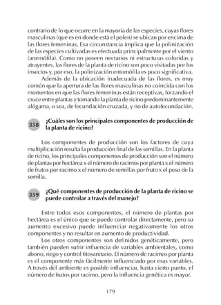 179
contrario de lo que ocurre en la mayoría de las especies, cuyas flores
masculinas (que es en donde está el polen) se ubican por encima de
las flores femeninas, Esa circunstancia implica que la polinización
de las especies cultivadas es efectuada principalmente por el viento
(anemófila). Como no poseen nectarios ni estructuras coloridas y
atrayentes, las flores de la planta de ricino son poco visitadas por los
insectos y, por eso, la polinización entomófila es poco significativa.
Además de la ubicación inadecuada de las flores, es muy
común que la apertura de las flores masculinas no coincida con los
momentos en que las flores femeninas están receptivas, forzando el
cruce entre plantas y tornando la planta de ricino predominantemente
alógama, o sea, de fecundación cruzada, y no de autofecundación.
¿Cuáles son los principales componentes de producción de
la planta de ricino?
Los componentes de producción son los factores de cuya
multiplicación resulta la producción final de las semillas. En la planta
de ricino, los principales componentes de producción son el número
de plantas por hectárea x el número de racimos por planta x el número
de frutos por racimo x el número de semillas por fruto x el peso de la
semilla.
¿Qué componentes de producción de la planta de ricino se
puede controlar a través del manejo?
Entre todos esos componentes, el número de plantas por
hectárea es el único que se puede controlar directamente, pero su
aumento excesivo puede influenciar negativamente los otros
componentes y no resultar en aumento de productividad.
Los otros componentes son definidos genéticamente, pero
también pueden sufrir influencia de variables ambientales, como
abono, riego y control fitosanitario. El número de racimos por planta
es el componente más fácilmente influenciado por esas variables.
A través del ambiente es posible influenciar, hasta cierto punto, el
número de frutos por racimo, pero la influencia genética es mayor.
358
359
 