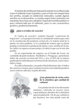 180
El número de semillas por fruto prácticamente no es influenciado
ni por el ambiente ni por la genética, pues el fruto casi siempre tiene
tres semillas, excepto en condiciones estresantes, cuando algunas
semillas no se desarrollan, o cuando surgen frutos anómalos con
másdetreslocus(muyraroyaleatorio).Elpesodelasemilla también es
poco influenciado por el ambiente, pues es una característica
genética, predominantemente.
¿Qué es el índice de cosecha?
El “índice de cosecha”, también llamado “coeficiente de
migración”, es la proporción entre la cantidad de materia que entra
en la constitución del producto comercial y la materia total de la
planta. En otras palabras, es la cantidad de materia que la planta
produjo y transformó en producto de interés, o sea, semillas de ricino.
Ese índice se expresa en porcentaje y lo ideal es que sea lo más alto
posible.
En un experimento de sequero, en el Estado do Ceará, las
variedades de porte mediano, ‘Nordestina’ y ‘Paraguaçu’, presentaron
índice de cosecha en torno del 20%, o sea, el 80% de la materia
producida fue utilizado para la formación de estructuras, como raíces,
tallos y hojas.
En cultivos bianuales, con poda al final del primer año, el índice
de cosecha es mayor, pues la planta no tiene necesidad de producir
nuevo sistema radicular, ni parte del tallo.
360
¿Una plantación de ricino retira
de la atmósfera qué cantidad de
carbono?
Una plantación de ricino de tamaño
mediano, cultivada en secano, tiene
capacidad para absorber de la atmósfera
aproximadamente 10t de gas carbónico
por hectárea. Ese valor puede variar de
361
 