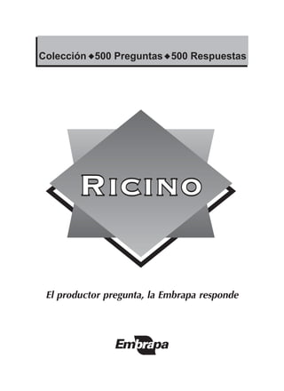 El productor pregunta, la Embrapa responde
 