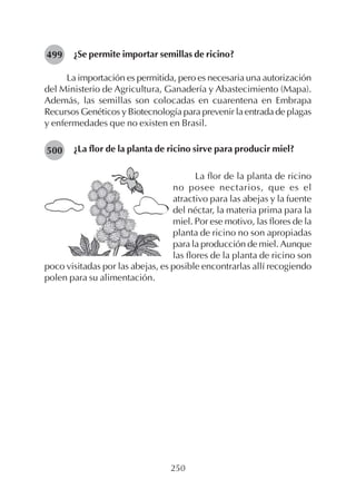 250
¿Se permite importar semillas de ricino?
La importación es permitida, pero es necesaria una autorización
del Ministerio de Agricultura, Ganadería y Abastecimiento (Mapa).
Además, las semillas son colocadas en cuarentena en Embrapa
Recursos Genéticos y Biotecnología para prevenir la entrada de plagas
y enfermedades que no existen en Brasil.
¿La flor de la planta de ricino sirve para producir miel?500
499
La flor de la planta de ricino
no posee nectarios, que es el
atractivo para las abejas y la fuente
del néctar, la materia prima para la
miel. Por ese motivo, las flores de la
planta de ricino no son apropiadas
para la producción de miel. Aunque
las flores de la planta de ricino son
poco visitadas por las abejas, es posible encontrarlas allí recogiendo
polen para su alimentación.
 