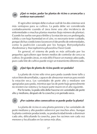 27
¿Qué es mejor, podar las plantas de ricino o arrancarlas y
sembrar nuevamente?
El agricultor siempre debe evaluar cuál de los dos sistemas será
más ventajoso para su cultivo. La poda debe ser considerada
cuidadosamente cuando el área tiene una alta incidencia de
enfermedades o muchas plantas muertas (bajo número de plantas).
Cuando los suelos son poco fértiles y la estación seca es prolongada,
cálida y con baja humedad en el aire, es necesario tener cuidado,
porque dichas condiciones favorecen el desarrollo de enfermedades,
como la pudrición causada por los hongos Botryodiplodia
theobromae y Macrophomina phaseolina (Tassi) Goid.
En general, el sistema de poda es más utilizado por los
pequeños agricultores que tienen medios de controlar de cerca su
cultivo. En grandes áreas, es más difícil hacer un manejo adecuado,
pues cada lote de cultivo puede exigir un tratamiento diferenciado.
¿Qué tipo de planta de ricino puede ser podada?
La planta de ricino sólo sirve para poda cuando tiene tallo y
raíces bien desarrolladas, capaces de almacenar reservas para resistir
la estación seca. Las variedades de porte alto y mediano son
apropiadas para poda, mientras que las de porte bajo generalmente
no resisten ese sistema y la mayor parte muere en el año siguiente.
Por lo tanto, la poda sólo debe hacerse en variedades de porte
alto y mediano, después de la cosecha y en periodo seco.
¿Por cuántos años consecutivos se puede podar la planta?
La planta de ricino es una planta perenne y las variedades de
porte mediano y alto pueden sobrevivir por muchos años. Aunque
la planta continúe produciendo, su productividad tiende a disminuir
cada año, dificultando la cosecha, pues los racimos son cada vez
menores y localizados en las ramas más altas.
29
30
31
 
