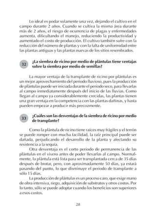 28
Lo ideal es podar solamente una vez, dejando el cultivo en el
campo durante 2 años. Cuando se cultiva la misma área durante
más de 2 años, el riesgo de ocurrencia de plagas y enfermedades
aumenta, dificultando el manejo, reduciendo la productividad y
aumentado el costo de producción. El cultivo también sufre con la
reducción del número de plantas y con la falta de uniformidad entre
las plantas antiguas y las plantas nuevas de los sitios resembrados.
¿La siembra de ricino por medio de plántulas tiene ventajas
sobre la siembra por medio de semillas?
La mayor ventaja de la transplante de ricino por plántulas es
un mejor aprovechamiento del periodo lluvioso, pues la producción
de plántulas puede ser iniciada durante el periodo seco, para llevarlas
al campo inmediatamente después del inicio de las lluvias. Como
llegan al campo ya considerablemente crecidas, las plantas tienen
una gran ventaja en la competencia con las plantas dañinas, y hasta
pueden empezar a producir más precozmente.
¿Cuáles son las desventajas de la siembra de ricino por medio
de transplante?
Como la plántula de ricino tiene raíces muy frágiles y el terrón
se puede romper con mucha facilidad, la raíz principal puede ser
dañada, perjudicando el desarrollo de la planta y afectando su
resistencia a la sequía.
Otra desventaja es el corto periodo de permanencia de las
plántulas en el vivero antes de poder llevarlas al campo. Normal-
mente, la plántula está lista para ser transplantada cerca de 35 días
después de brotar, pero, con aproximadamente 50 días, ya estará
pasando del punto, lo que disminuye el periodo de transplante a
sólo 15 días.
La producción de plántulas es un proceso caro, que exige mano
de obra intensiva, riego, adquisición de substratos y otros costos. Por
lo tanto, sólo se puede adoptar cuando los beneficios son superiores
a esos costos.
32
33
 