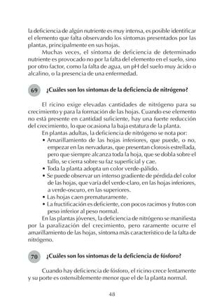 48
la deficiencia de algún nutriente es muy intensa, es posible identificar
el elemento que falta observando los síntomas presentados por las
plantas, principalmente en sus hojas.
Muchas veces, el síntoma de deficiencia de determinado
nutriente es provocado no por la falta del elemento en el suelo, sino
por otro factor, como la falta de agua, un pH del suelo muy ácido o
alcalino, o la presencia de una enfermedad.
¿Cuáles son los síntomas de la deficiencia de nitrógeno?
El ricino exige elevadas cantidades de nitrógeno para su
crecimiento y para la formación de las hojas. Cuando ese elemento
no está presente en cantidad suficiente, hay una fuerte reducción
del crecimiento, lo que ocasiona la baja estatura de la planta.
En plantas adultas, la deficiencia de nitrógeno se nota por:
• Amarillamiento de las hojas inferiores, que puede, o no,
empezar en las nervaduras, que presentan clorosis estrellada,
pero que siempre alcanza toda la hoja, que se dobla sobre el
tallo, se cierra sobre su faz superficial y cae.
• Toda la planta adopta un color verde-pálido.
• Se puede observar un intenso gradiente de pérdida del color
de las hojas, que varía del verde-claro, en las hojas inferiores,
a verde-oscuro, en las superiores.
• Las hojas caen prematuramente.
• La fructificación es deficiente, con pocos racimos y frutos con
peso inferior al peso normal.
En las plantas jóvenes, la deficiencia de nitrógeno se manifiesta
por la paralización del crecimiento, pero raramente ocurre el
amarillamiento de las hojas, síntoma más característico de la falta de
nitrógeno.
¿Cuáles son los síntomas de la deficiencia de fósforo?
Cuando hay deficiencia de fósforo, el ricino crece lentamente
y su porte es ostensiblemente menor que el de la planta normal.
69
70
 