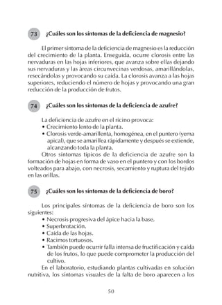 50
¿Cuáles son los síntomas de la deficiencia de magnesio?
El primer síntoma de la deficiencia de magnesio es la reducción
del crecimiento de la planta. Enseguida, ocurre clorosis entre las
nervaduras en las hojas inferiores, que avanza sobre ellas dejando
sus nervaduras y las áreas circunvecinas verdosas, amarillándolas,
resecándolas y provocando su caída. La clorosis avanza a las hojas
superiores, reduciendo el número de hojas y provocando una gran
reducción de la producción de frutos.
¿Cuáles son los síntomas de la deficiencia de azufre?
La deficiencia de azufre en el ricino provoca:
• Crecimiento lento de la planta.
• Clorosis verde-amarillenta, homogénea, en el puntero (yema
apical), que se amarillea rápidamente y después se extiende,
alcanzando toda la planta.
Otros síntomas típicos de la deficiencia de azufre son la
formación de hojas en forma de vaso en el puntero y con los bordos
volteados para abajo, con necrosis, secamiento y ruptura del tejido
en las orillas.
¿Cuáles son los síntomas de la deficiencia de boro?
Los principales síntomas de la deficiencia de boro son los
siguientes:
• Necrosis progresiva del ápice hacia la base.
• Superbrotación.
• Caída de las hojas.
• Racimos tortuosos.
• También puede ocurrir falla intensa de fructificación y caída
de los frutos, lo que puede comprometer la producción del
cultivo.
En el laboratorio, estudiando plantas cultivadas en solución
nutritiva, los síntomas visuales de la falta de boro aparecen a los
73
74
75
 