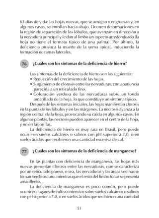 51
63 días de vida: las hojas nuevas, que se arrugan y engruesan y, en
algunos casos, se enrollan hacia abajo. Ocurren deformaciones en
la región de separación de los lóbulos, que avanzan en dirección a
la nervadura principal y le dan al limbo un aspecto arredondeado (la
hoja no tiene el formato típico de una palma). Por último, la
deficiencia provoca la muerte de la yema apical, induciendo la
formación de ramas laterales.
¿Cuáles son los síntomas de la deficiencia de hierro?
Los síntomas de la deficiencia de hierro son los siguientes:
• Reducción del crecimiento de las hojas.
• Surgimiento de clorosis entre las nervaduras, con apariencia
parecida a un reticulado fino.
• Coloración verdosa de las nervaduras sobre un fondo
amarillado de la hoja, lo que constituye un síntoma típico.
Después de los síntomas iniciales, las hojas manifiestan clorosis
en la punta de los lóbulos y en las márgenes. La necrosis avanza a la
región central de la hoja, provocando su caída en algunos casos. En
algunas plantas, las necrosis pueden aparecer en el centro de la hoja,
y no en las orillas.
La deficiencia de hierro es muy rara en Brasil, pero puede
ocurrir en suelos calcáreos o salinos con pH superior a 7.0, o en
suelos ácidos que recibieron una cantidad excesiva de cal.
¿Cuáles son los síntomas de la deficiencia de manganeso?
En las plantas con deficiencia de manganeso, las hojas más
nuevas presentan clorosis entre las nervaduras, que se caracteriza
por un reticulado grueso, o sea, las nervaduras y las áreas vecinas se
tornan verde oscuro, mientras que el resto del limbo foliar se presenta
amarillento.
La deficiencia de manganeso es poco común, pero puede
ocurrir en lugares de cultivo intensivo sobre suelos calcáreos o salinos
con pH superior a 7.0, o en suelos ácidos que recibieron una cantidad
76
77
 