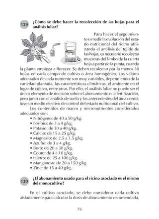 76
¿Cómo se debe hacer la recolección de las hojas para el
análisis foliar?
129
Para hacer el seguimien-
to o medir la evolución del esta-
do nutricional del ricino utili-
zando el análisis del tejido de
las hojas, es necesario recolectar
muestras del limbo de la cuarta
hoja a partir de la punta, cuando
la planta empieza a florecer. Se deben recolectar por lo menos 30
hojas en cada campo de cultivo o área homogénea. Los valores
adecuados de cada nutriente son muy variables, dependiendo de la
variedad plantada, las características climáticas, el ambiente en el
lugar de cultivo, entre otras. Por ello, el análisis foliar no puede ser el
único elemento de decisión sobre el abonamiento o la fertilización,
pero junto con el análisis de suelo y los antecedentes del área consti-
tuye un medio efectivo de control del estado nutricional del cultivo.
Los contenidos de macro y micronutrientes considerados
adecuados son:
• Nitrógeno: de 40 a 50 g/kg.
• Fósforo: de 3 a 4 g/kg.
• Potasio: de 30 a 40 g/kg.
• Calcio: de 15 a 25 g/kg.
• Magnesio: de 2.5 a 3.5 g/kg.
• Azufre: de 3 a 4 g/kg.
• Boro: de 20 a 30 g/kg.
• Cobre: de 4 a 10 g/kg.
• Hierro: de 25 a 100 g/kg.
• Manganeso: de 20 a 150 g/kg.
• Zinc: de 15 a 40 g/kg.
¿El abonamiento usado para el ricino asociado es el mismo
del monocultivo?
En el cultivo asociado, se debe considerar cada cultivo
aisladamente para calcular la dosis de abonamiento recomendada,
130
 