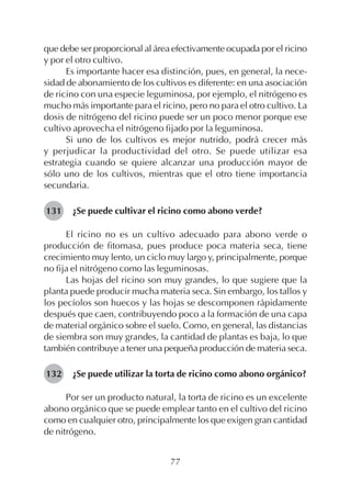 77
que debe ser proporcional al área efectivamente ocupada por el ricino
y por el otro cultivo.
Es importante hacer esa distinción, pues, en general, la nece-
sidad de abonamiento de los cultivos es diferente: en una asociación
de ricino con una especie leguminosa, por ejemplo, el nitrógeno es
mucho más importante para el ricino, pero no para el otro cultivo. La
dosis de nitrógeno del ricino puede ser un poco menor porque ese
cultivo aprovecha el nitrógeno fijado por la leguminosa.
Si uno de los cultivos es mejor nutrido, podrá crecer más
y perjudicar la productividad del otro. Se puede utilizar esa
estrategia cuando se quiere alcanzar una producción mayor de
sólo uno de los cultivos, mientras que el otro tiene importancia
secundaria.
¿Se puede cultivar el ricino como abono verde?
El ricino no es un cultivo adecuado para abono verde o
producción de fitomasa, pues produce poca materia seca, tiene
crecimiento muy lento, un ciclo muy largo y, principalmente, porque
no fija el nitrógeno como las leguminosas.
Las hojas del ricino son muy grandes, lo que sugiere que la
planta puede producir mucha materia seca. Sin embargo, los tallos y
los pecíolos son huecos y las hojas se descomponen rápidamente
después que caen, contribuyendo poco a la formación de una capa
de material orgánico sobre el suelo. Como, en general, las distancias
de siembra son muy grandes, la cantidad de plantas es baja, lo que
también contribuye a tener una pequeña producción de materia seca.
¿Se puede utilizar la torta de ricino como abono orgánico?
Por ser un producto natural, la torta de ricino es un excelente
abono orgánico que se puede emplear tanto en el cultivo del ricino
como en cualquier otro, principalmente los que exigen gran cantidad
de nitrógeno.
131
132
 