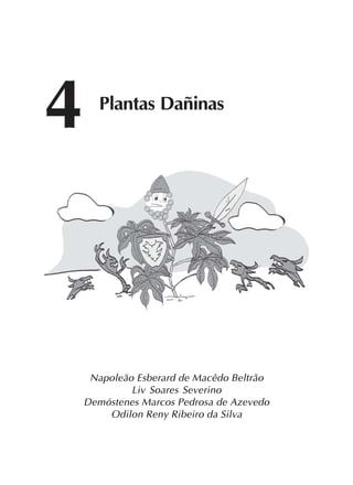 79
4 Plantas Dañinas
Napoleão Esberard de Macêdo Beltrão
Liv Soares Severino
Demóstenes Marcos Pedrosa de Azevedo
Odilon Reny Ribeiro da Silva
 