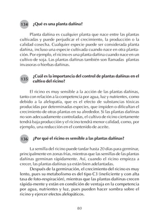 80
¿Qué es una planta dañina?
Planta dañina es cualquier planta que nace entre las plantas
cultivadas y puede perjudicar el crecimiento, la producción o la
calidad cosecha. Cualquier especie puede ser considerada planta
dañina, incluso una especie cultivada cuando nace en otra planta-
ción. Por ejemplo, el ricino es una planta dañina cuando nace en un
cultivo de soja. Las plantas dañinas también son llamadas plantas
invasoras o hierbas dañinas.
¿Cuál es la importancia del control de plantas dañinas en el
cultivo del ricino?
El ricino es muy sensible a la acción de las plantas dañinas,
tanto con relación a la competencia por agua, luz y nutrientes, como
debido a la alelopatía, que es el efecto de substancias tóxicas
producidas por determinadas especies, que impiden o dificultan el
crecimiento de otras plantas en su alrededor. Si las plantas dañinas
no son adecuadamente controladas, el cultivo de ricino ciertamente
tendrá baja producción y el ricino tendrá menor calidad, como, por
ejemplo, una reducción en el contenido de aceite.
¿Por qué el ricino es sensible a las plantas dañinas?
La semilla del ricino puede tardar hasta 20 días para germinar,
principalmente en zonas frías, mientras que las semillas de las plantas
dañinas germinan rápidamente. Así, cuando el ricino empieza a
crecer, las plantas dañinas ya están bien adelantadas.
Después de la germinación, el crecimiento del ricino es muy
lento, pues su metabolismo es del tipo C3 (ineficiente y con alta
tasa de foto-respiración), mientras que las plantas dañinas crecen
rápida-mente y están en condición de ventaja en la competencia
por agua, nutrientes y luz, pues pueden hacer sombra sobre el
ricino y ejercer efectos alelopáticos.
134
135
136
 