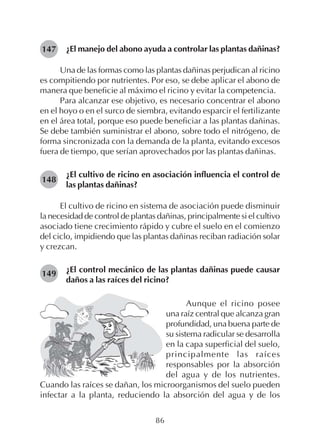 86
¿El manejo del abono ayuda a controlar las plantas dañinas?
Una de las formas como las plantas dañinas perjudican al ricino
es compitiendo por nutrientes. Por eso, se debe aplicar el abono de
manera que beneficie al máximo el ricino y evitar la competencia.
Para alcanzar ese objetivo, es necesario concentrar el abono
en el hoyo o en el surco de siembra, evitando esparcir el fertilizante
en el área total, porque eso puede beneficiar a las plantas dañinas.
Se debe también suministrar el abono, sobre todo el nitrógeno, de
forma sincronizada con la demanda de la planta, evitando excesos
fuera de tiempo, que serían aprovechados por las plantas dañinas.
¿El cultivo de ricino en asociación influencia el control de
las plantas dañinas?
El cultivo de ricino en sistema de asociación puede disminuir
la necesidad de control de plantas dañinas, principalmente si el cultivo
asociado tiene crecimiento rápido y cubre el suelo en el comienzo
del ciclo, impidiendo que las plantas dañinas reciban radiación solar
y crezcan.
¿El control mecánico de las plantas dañinas puede causar
daños a las raíces del ricino?
147
Aunque el ricino posee
una raíz central que alcanza gran
profundidad, una buena parte de
su sistema radicular se desarrolla
en la capa superficial del suelo,
principalmente las raíces
responsables por la absorción
del agua y de los nutrientes.
148
149
Cuando las raíces se dañan, los microorganismos del suelo pueden
infectar a la planta, reduciendo la absorción del agua y de los
 
