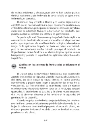 95
de los más eficientes y eficaces, pues aún no han surgido plantas
dañinas resistentes a ese herbicida. Es poco soluble en agua, no es
inflamable, ni corrosivo.
El ricino es muy sensible al Diuron y en las investigaciones se
constató que es necesario definir la dosis con mucho cuidado para
evitar daños al cultivo, principalmente en suelos arenosos, cuya baja
capacidad de adsorción favorece la lixiviación del producto, que
puede alcanzar las semillas o la plántula en germinación.
Se puede aplicar el Diuron antes y después del brote. Aplicado
antes del brote, la selectividad ocurre porque el herbicida permanece
en las capas superiores y la semilla continúa protegida debajo de esa
franja. En la aplicación después del brote no existe selectividad,
pero es necesario tener mucho cuidado para que el producto no
llegue hasta el ricino. Se debe usar chorro dirigido, aplicar lo más
bajo posible y pantalla en la punta de los aplicadores (sombrero-de-
Napoleón).
¿Cuáles son los síntomas de fitotoxicidad de Diuron en el
ricino?
El Diuron actúa destruyendo el fotosistema, que es parte del
aparato fotosintético de la planta. Cuando se aplica el Diuron antes
del brote, en dosis capaz de causar daños, el ricino germina
normalmente y puede hasta llegar a desarrollar dos o tres hojas
verdaderas. La fitotoxicidad se manifiesta con un rápido
marchitamiento y la pérdida del color verde de las hojas, que parecen
quemadas. El crecimiento se paraliza y la planta muere en pocos
días. No se observan síntomas en las raíces o en la capacidad de
germinación de la semilla.
Cuando se aplica este herbicida después del brote, los síntomas
son similares, con marchitamiento y pérdida del color verde de las
hojas. Si solamente una cantidad pequeña alcanza a la planta, los
síntomas pueden limitarse al local de contacto. En dosis mayores,
puede matar a la planta.
168
 