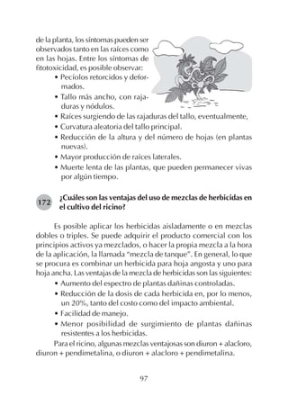 97
de la planta, los síntomas pueden ser
observados tanto en las raíces como
en las hojas. Entre los síntomas de
fitotoxicidad, es posible observar:
• Pecíolos retorcidos y defor-
mados.
• Tallo más ancho, con raja-
duras y nódulos.
• Raíces surgiendo de las rajaduras del tallo, eventualmente,
• Curvatura aleatoria del tallo principal.
• Reducción de la altura y del número de hojas (en plantas
nuevas).
• Mayor producción de raíces laterales.
• Muerte lenta de las plantas, que pueden permanecer vivas
por algún tiempo.
¿Cuáles son las ventajas del uso de mezclas de herbicidas en
el cultivo del ricino?
Es posible aplicar los herbicidas aisladamente o en mezclas
dobles o triples. Se puede adquirir el producto comercial con los
principios activos ya mezclados, o hacer la propia mezcla a la hora
de la aplicación, la llamada “mezcla de tanque”. En general, lo que
se procura es combinar un herbicida para hoja angosta y uno para
hoja ancha. Las ventajas de la mezcla de herbicidas son las siguientes:
• Aumento del espectro de plantas dañinas controladas.
• Reducción de la dosis de cada herbicida en, por lo menos,
un 20%, tanto del costo como del impacto ambiental.
• Facilidad de manejo.
• Menor posibilidad de surgimiento de plantas dañinas
resistentes a los herbicidas.
Para el ricino, algunas mezclas ventajosas son diuron + alacloro,
diuron + pendimetalina, o diuron + alacloro + pendimetalina.
172
 