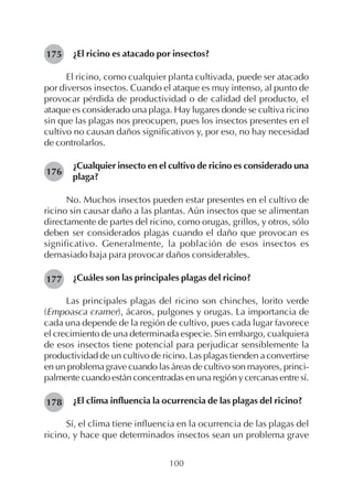 100
¿El ricino es atacado por insectos?
El ricino, como cualquier planta cultivada, puede ser atacado
por diversos insectos. Cuando el ataque es muy intenso, al punto de
provocar pérdida de productividad o de calidad del producto, el
ataque es considerado una plaga. Hay lugares donde se cultiva ricino
sin que las plagas nos preocupen, pues los insectos presentes en el
cultivo no causan daños significativos y, por eso, no hay necesidad
de controlarlos.
¿Cualquier insecto en el cultivo de ricino es considerado una
plaga?
No. Muchos insectos pueden estar presentes en el cultivo de
ricino sin causar daño a las plantas. Aún insectos que se alimentan
directamente de partes del ricino, como orugas, grillos, y otros, sólo
deben ser considerados plagas cuando el daño que provocan es
significativo. Generalmente, la población de esos insectos es
demasiado baja para provocar daños considerables.
¿Cuáles son las principales plagas del ricino?
Las principales plagas del ricino son chinches, lorito verde
(Empoasca cramer), ácaros, pulgones y orugas. La importancia de
cada una depende de la región de cultivo, pues cada lugar favorece
el crecimiento de una determinada especie. Sin embargo, cualquiera
de esos insectos tiene potencial para perjudicar sensiblemente la
productividad de un cultivo de ricino. Las plagas tienden a convertirse
en un problema grave cuando las áreas de cultivo son mayores, princi-
palmente cuando están concentradas en una región y cercanas entre sí.
¿El clima influencia la ocurrencia de las plagas del ricino?
Sí, el clima tiene influencia en la ocurrencia de las plagas del
ricino, y hace que determinados insectos sean un problema grave
175
176
177
178
 