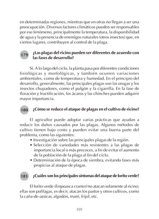 101
en determinadas regiones, mientras que en otras no llegan a ser una
preocupación. Diversos factores climáticos pueden ser responsables
por ese fenómeno, principalmente la temperatura, la disponibilidad
de agua y la presencia de enemigos naturales (otros insectos) que, en
ciertos lugares, contribuyen al control de la plaga.
¿Las plagas del ricino pueden ser diferentes de acuerdo con
las fases de desarrollo?
Sí. A lo largo del ciclo, la planta pasa por diferentes condiciones
fisiológicas y morfológicas, y también ocurren variaciones
ambientales, como de temperatura y humedad. En el principio del
desarrollo, generalmente, las principales plagas son las orugas y los
insectos chupadores, como el pulgón y la cigarrilla. En la fase de
floración y fructificación, los ácaros y las chinches pueden adquirir
mayor importancia.
¿Cómo se reduce el ataque de plagas en el cultivo de ricino?
El agricultor puede adoptar varias prácticas que ayudan a
reducir los daños causados por las plagas. Algunos métodos de
cultivo tienen bajo costo y pueden evitar una buena parte del
problema, como las siguientes:
• Investigación sobre las principales plagas de la región.
• Selección de variedades más resistentes a las plagas de
importancia local o más precoces, a fin de evitar el aumento
de la población de la plaga al fin del ciclo.
• Determinación de la época de siembra, evitando fases más
propicias al ataque de plagas.
¿Cuáles sonlosprincipalessíntomasdelataquedeloritoverde?
El lorito verde (Empoasca cramer) no atacan solamente al ricino;
ellas son polífagas, es decir, atacan los pastos y otros cultivos, como
la caña-de-azúcar, algodón, maní, frijol, etc.
179
180
181
 