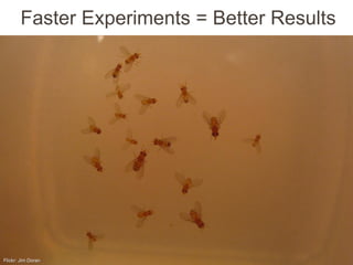 Faster Experiments = Better Results




Flickr: Jim Doran
 