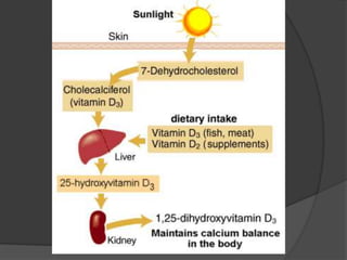 Delayed dentition; caries    