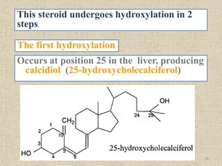 Occurs at position 25 in the liver, producing
calcidiol (25-hydroxycholecalciferol)
The first hydroxylation
This steroid undergoes hydroxylation in 2
steps.
16
 