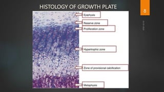 HISTOLOGY OF GROWTH PLATE
8
 