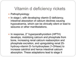 Vitamin d deficiency rickets
 Pathophysiology
 In stage I, with developing vitamin D deficiency,
intestinal absorption of calcium declines causing
hypocalcemia, which can be clinically silent or lead to
seizures or other manifestations.
 In response, 2° hyperparathyroidism (HPTH)
develops, mobilizing calcium and phosphate from
bone, increasing renal calcium reabsorption and
phosphate excretion, and upregulating renal 25-
hydroxy-vitamin D-1α-hydroxylase (1-OHase) to
increase calcitriol and hence intestinal calcium
absorption. These adaptations lead to stage II
 