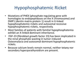 Hypophosphatemic Ricket
• Mutations of PHEX (phosphate regulating gene with
homologies to endopeptidases on the X chromosome) and
DMP1 (dentin matrix protein 1) result in X-linked
hypophosphatemic rickets and autosomal recessive
hypophosphatemic rickets, respectively.
• Most families of patients with familial hypophosphatemia
exhibit an X-linked dominant inheritance.
• FGF-23 (fibroblast growth factor 23) has been implicated in
the renal phosphate wasting in tumor-induced
Osteomalacia and autosomal dominant hypophosphatemic
rickets.
• Because calcium levels remain normal, neither tetany nor
secondary hyperparathyroidism are present.
 