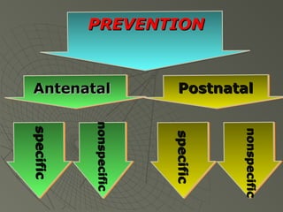 PREVENTION

Postnatal
Antenatal

nonspecific
nonspecific

specific
specific
specific
specific

nonspecific
nonspecific
nonspecific
nonspecific

specific
specific
specific
specific

 