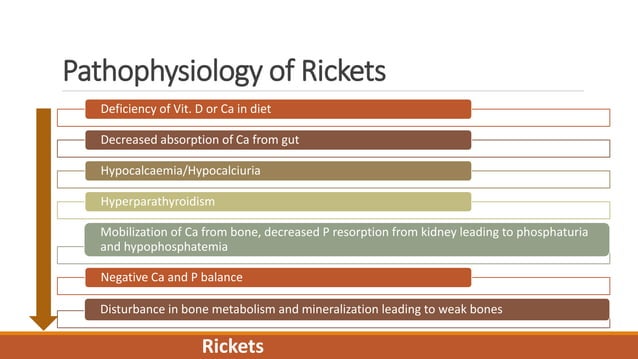 Rickets in dogs; etiology, diagnosis and management | PPT