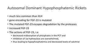 Autosomal Dominant Hypophosphatemic Rickets
• much less common than XLH
• gene encoding for FGF-23 is mutated
• The mutated FGF-23 escapes degradation by the proteases
• Increased FGF-23
• The actions of FGF-23, i.e.
• decreased reabsorption of phosphates in the PCT and
• inhibition of 1α-hydroxylase are overwhelmed,
• thus leading to hypophosphatemia and decreased levels of calcitriol
 