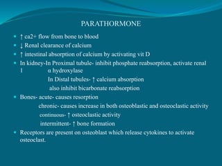 PARATHORMONE
 ↑ ca2+ flow from bone to blood
 ↓ Renal clearance of calcium
 ↑ intestinal absorption of calcium by activating vit D
 In kidney-In Proximal tubule- inhibit phosphate reabsorption, activate renal
1 α hydroxylase
In Distal tubules- ↑ calcium absorption
also inhibit bicarbonate reabsorption
 Bones- acute- causes resorption
chronic- causes increase in both osteoblastic and osteoclastic activity
continuous- ↑ osteoclastic activity
intermittent- ↑ bone formation
 Receptors are present on osteoblast which release cytokines to activate
osteoclast.
 