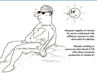 Adequate supplies of vitamin
D3 can be synthesized with
sufficient exposure to solar
ultraviolet B radiation
Melanin, clothing or
sunscreens that absorb UVB
will reduce cutaneous
production of vitamin D3
 
