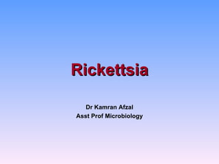 Rickettsia

   Dr Kamran Afzal
Asst Prof Microbiology
 