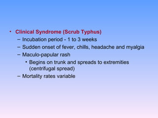 • Clinical Syndrome (Scrub Typhus)
   – Incubation period - 1 to 3 weeks
   – Sudden onset of fever, chills, headache and myalgia
   – Maculo-papular rash
       • Begins on trunk and spreads to extremities
         (centrifugal spread)
   – Mortality rates variable
 