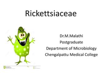 Rickettsiaceae
Dr.M.Malathi
Postgraduate
Department of Microbiology
Chengalpattu Medical College
 