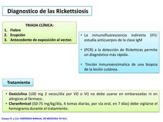 Diagnostico de las Rickettsiosis

                   TRIADA CLÍNICA:
  1. Fiebre
  2. Erupción                                            • La inmunofluorescencia indirecta      (IFI):
  3. Antecedente de exposición al vector.                  estudia anticuerpos de la clase IgM

                                                         • (PCR) a la detección de Rickettsias permite
                                                           un diagnóstico más rápido.

                                                         • Tinción inmunoenzimatica de una biopsia
                                                           de la lesión cutánea.


    Tratamiento

   • Doxiciclina (100 mg 2 veces/día por VO o VI) no debe usarse en embarazadas ni en
     alérgicos al fármaco.
   • Cloranfenicol (50-75 mg/kg/día, 4 tomas diarias, por vía oral, en 7 días) debe vigilarse el
     hemograma durante el tratamiento.

(kasper D. y Col. HARRISON MANUAL DE MEDICINA 16ª Ed.)
 