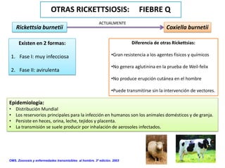 OTRAS RICKETTSIOSIS:                                 FIEBRE Q
                                                         ACTUALMENTE
      Rickettsia burnetii                                                                    Coxiella burnetii

       Existen en 2 formas:                                                Diferencia de otras Rickettsias:

    1. Fase I: muy infecciosa                                    •Gran resistencia a los agentes físicos y químicos

                                                                 •No genera aglutinina en la prueba de Weil-felix
    2. Fase II: avirulenta
                                                                 •No produce erupción cutánea en el hombre

                                                                 •Puede transmitirse sin la intervención de vectores.

Epidemiología:
•     Distribución Mundial
•     Los reservorios principales para la infección en humanos son los animales domésticos y de granja.
•     Persiste en heces, orina, leche, tejidos y placenta.
•     La transmisión se suele producir por inhalación de aerosoles infectados.




OMS. Zoonosis y enfermedades transmisibles al hombre. 3º edición. 2003
 