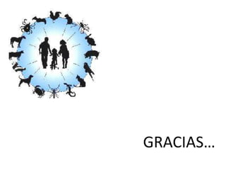 GRACIAS…
 