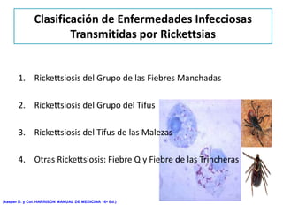 Clasificación de Enfermedades Infecciosas
                      Transmitidas por Rickettsias


       1. Rickettsiosis del Grupo de las Fiebres Manchadas

       2. Rickettsiosis del Grupo del Tifus

       3. Rickettsiosis del Tifus de las Malezas

       4. Otras Rickettsiosis: Fiebre Q y Fiebre de las Trincheras



(kasper D. y Col. HARRISON MANUAL DE MEDICINA 16ª Ed.)
 