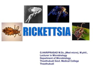 RICKETTSIA G.HARIPRASAD M.Sc.,(Med micro), M.phil., Lecturer in Microbiology  Department of Microbiology  Thoothukudi Govt. Medical College  Thoothukudi 